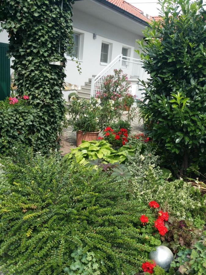 Weingut Apartment Hildegard Gangl Illmitz Esterno foto
