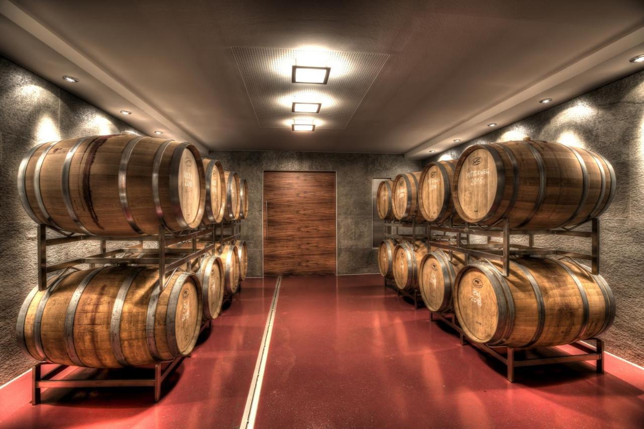 Weingut Apartment Hildegard Gangl Illmitz Esterno foto