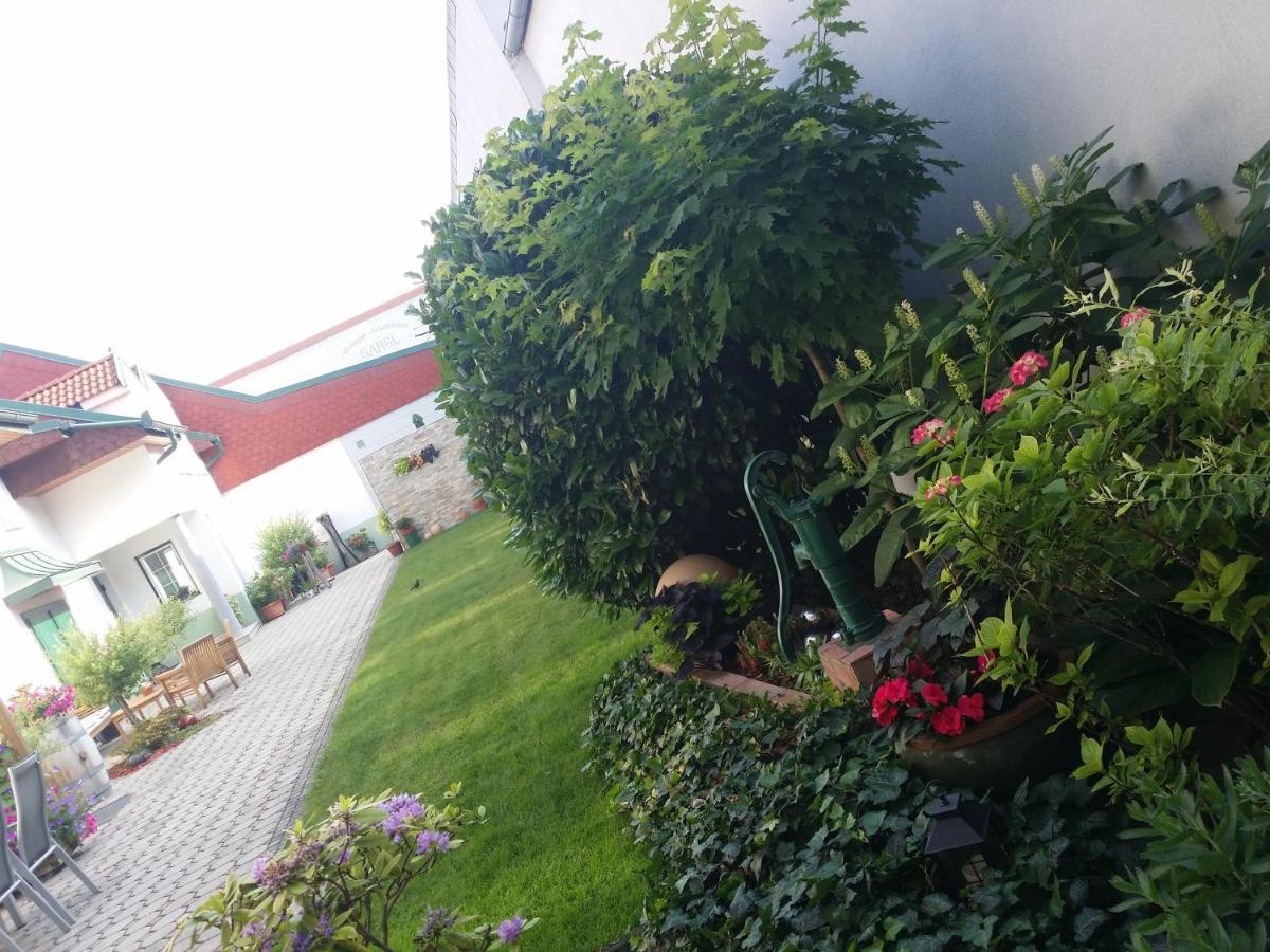 Weingut Apartment Hildegard Gangl Illmitz Esterno foto