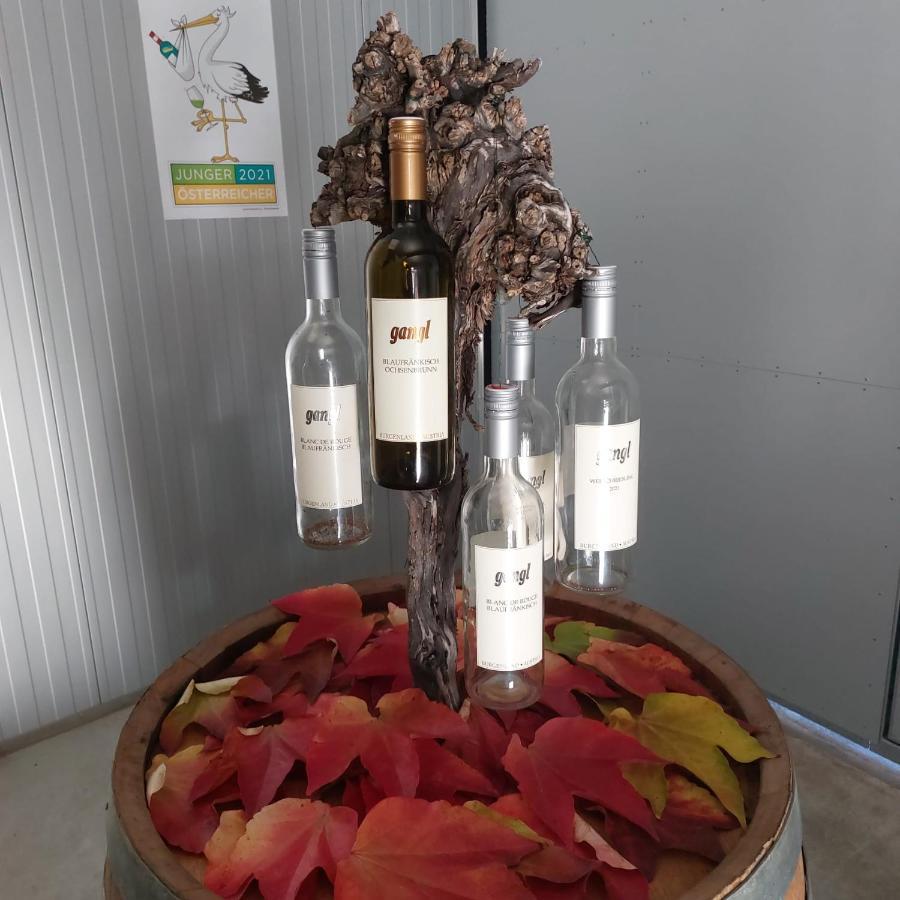 Weingut Apartment Hildegard Gangl Illmitz Esterno foto